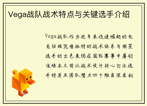 Vega战队战术特点与关键选手介绍