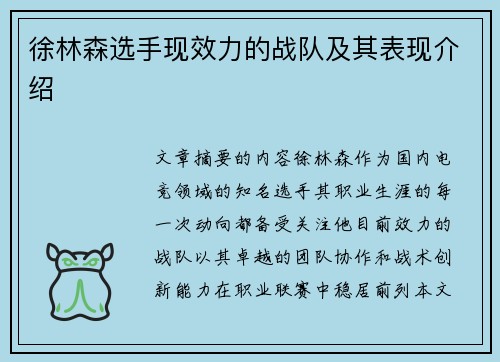 徐林森选手现效力的战队及其表现介绍
